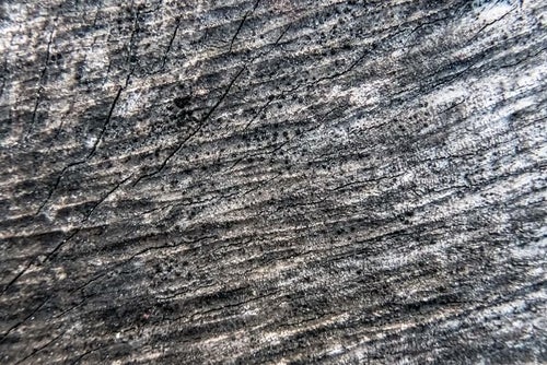 黒く変色した木材の写真