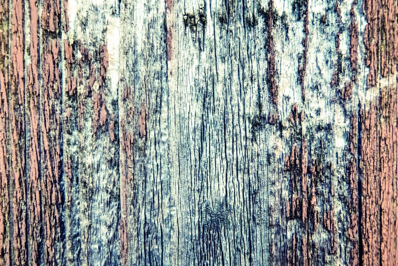「朽ちた木の壁」の写真