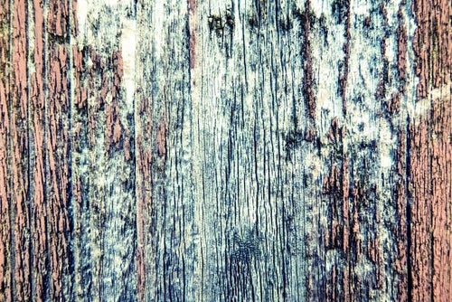 朽ちた木の壁の写真