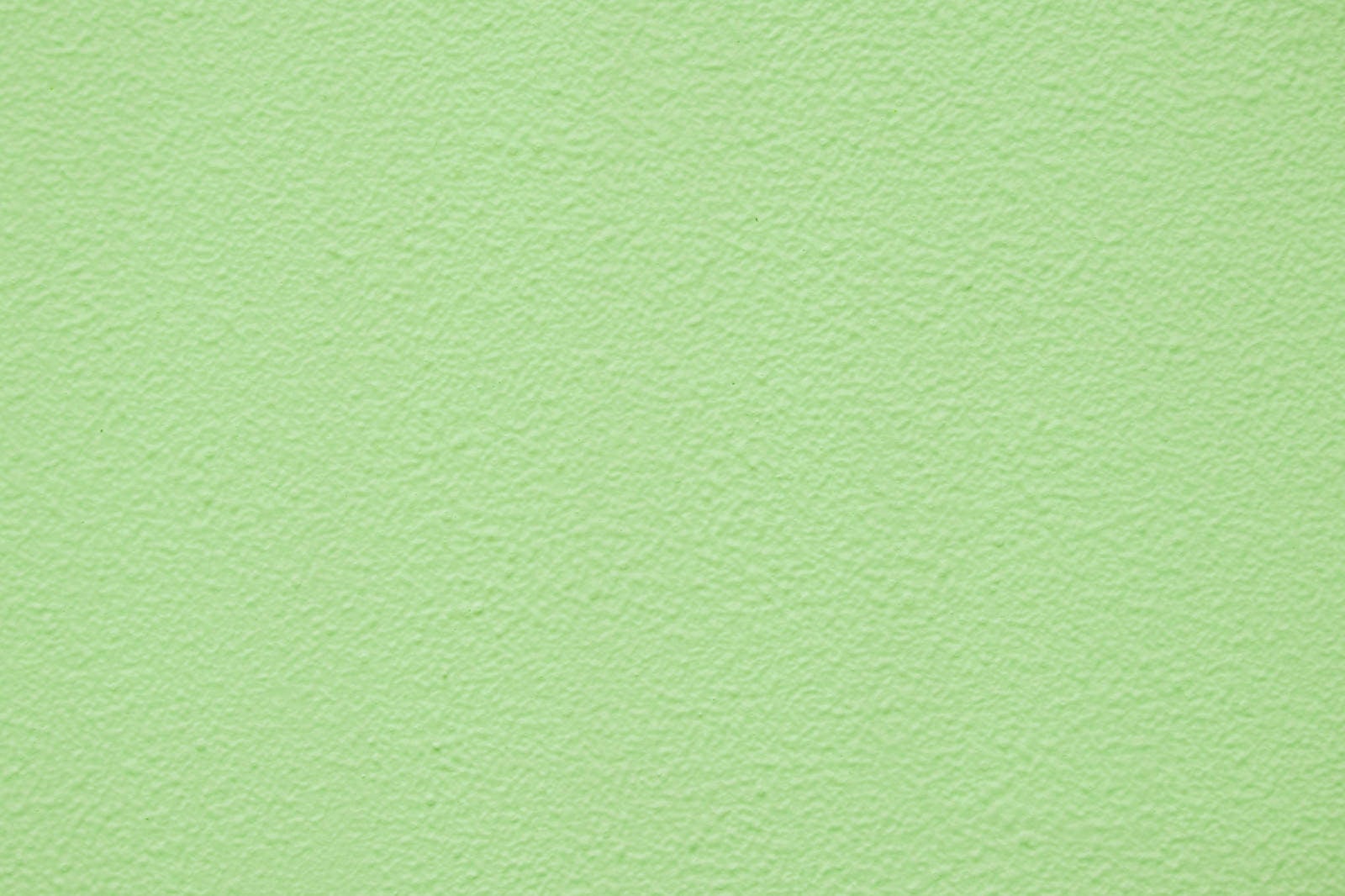 「淡い緑色の外壁（テクスチャ）」の写真