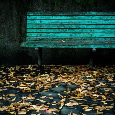 古びたベンチと落ち葉の写真