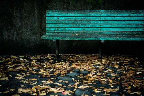古びたベンチと落ち葉の写真