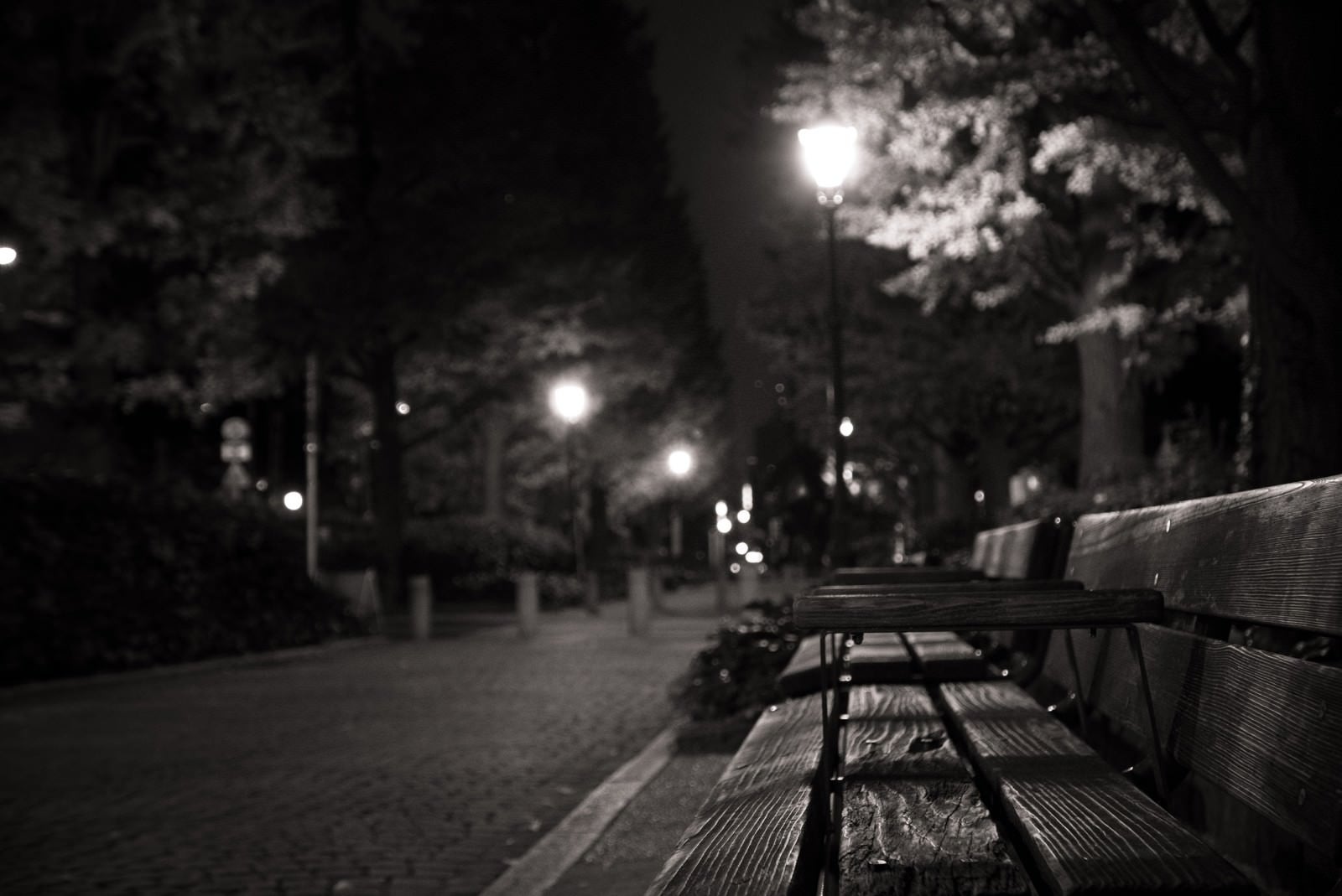 「夜間の人影がない公園のベンチ」の写真