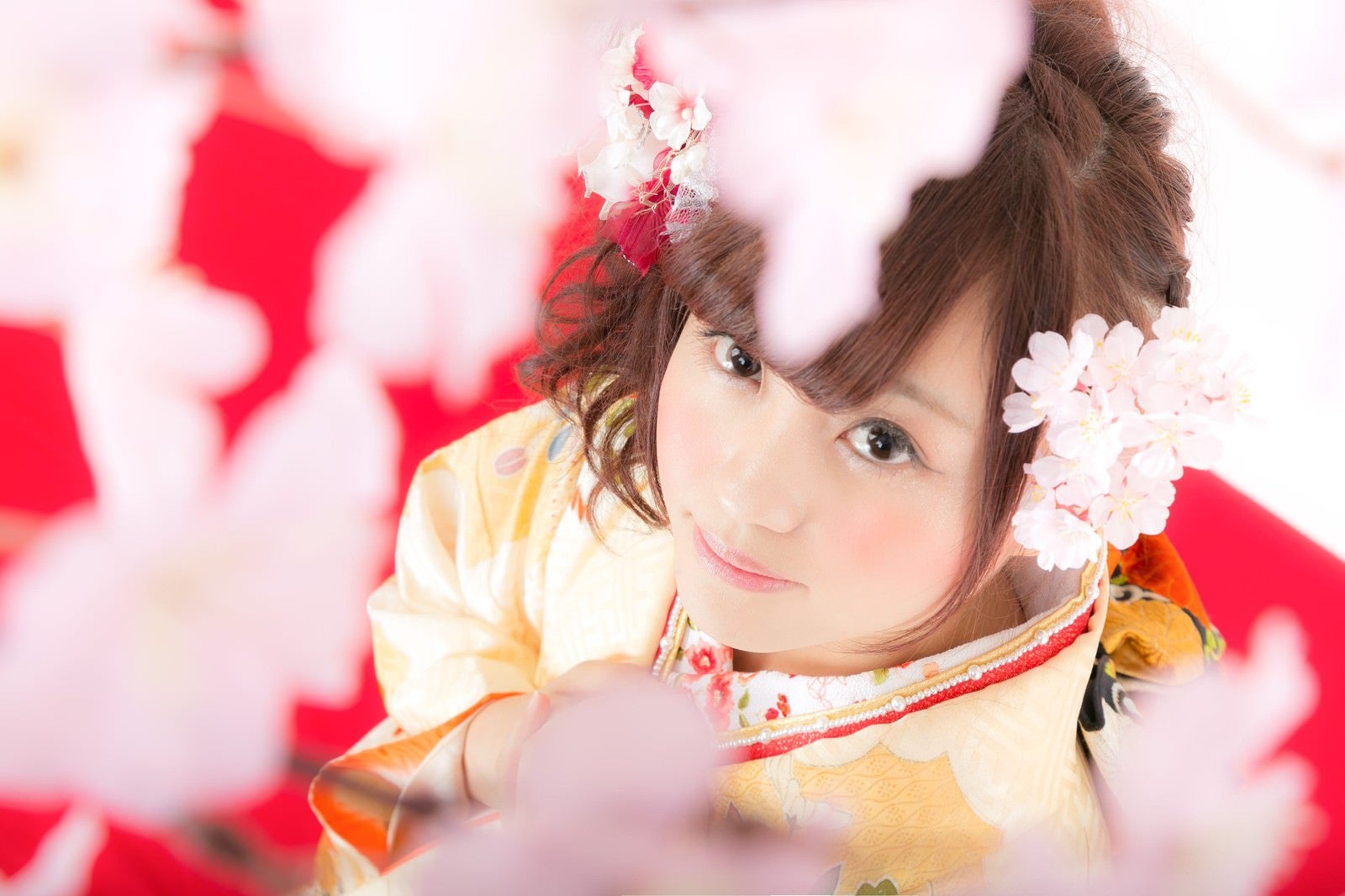 「着物美人と見上げる桜」の写真［モデル：河村友歌］