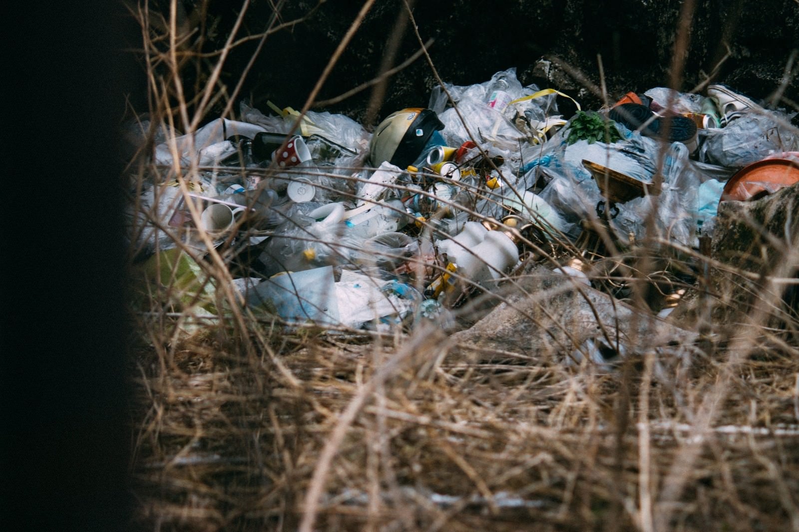 「不法投棄されたゴミ」の写真
