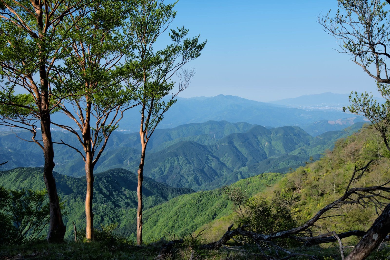 「霞がかる丹沢の山並み」の写真