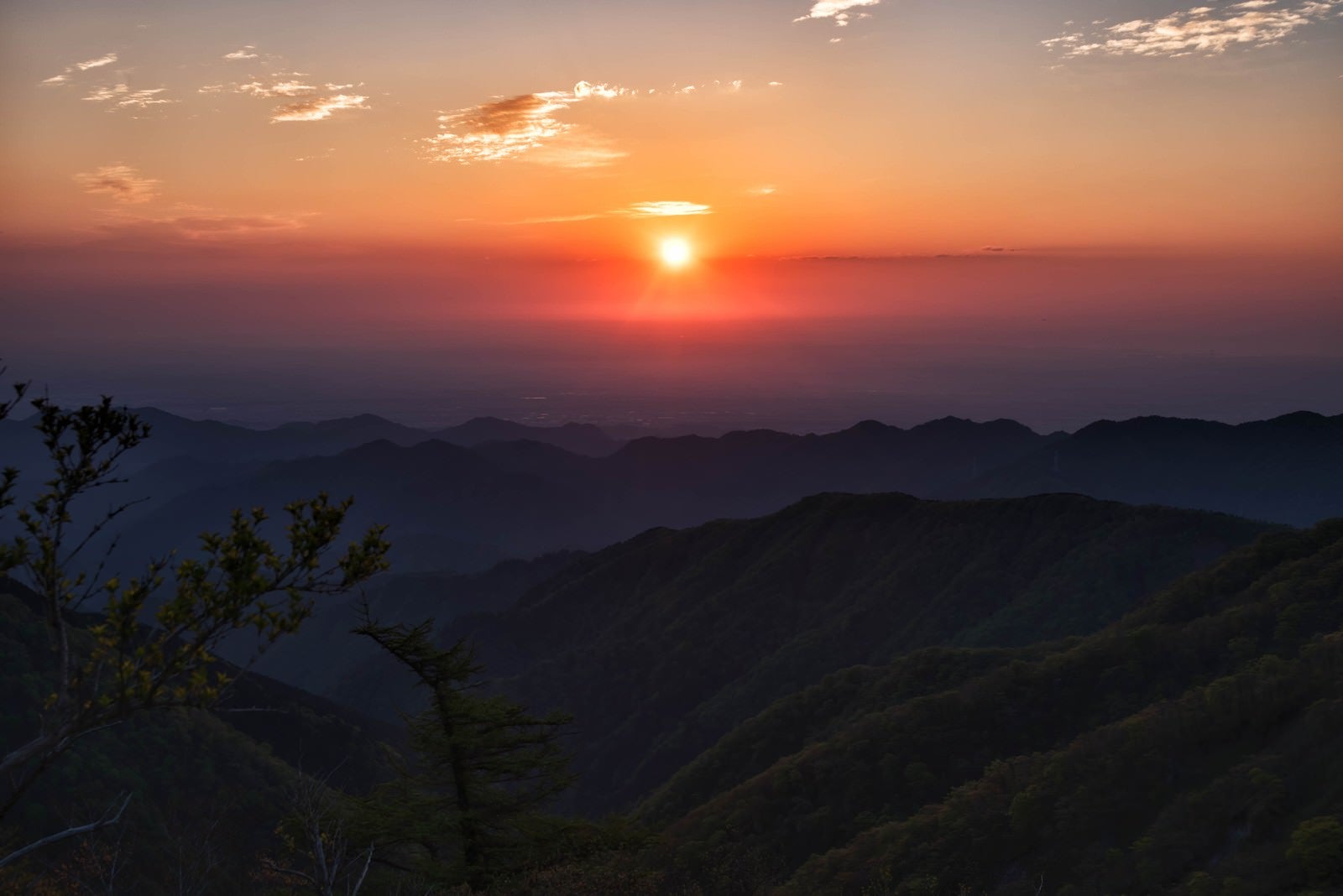 「関東平野から昇る朝日」の写真