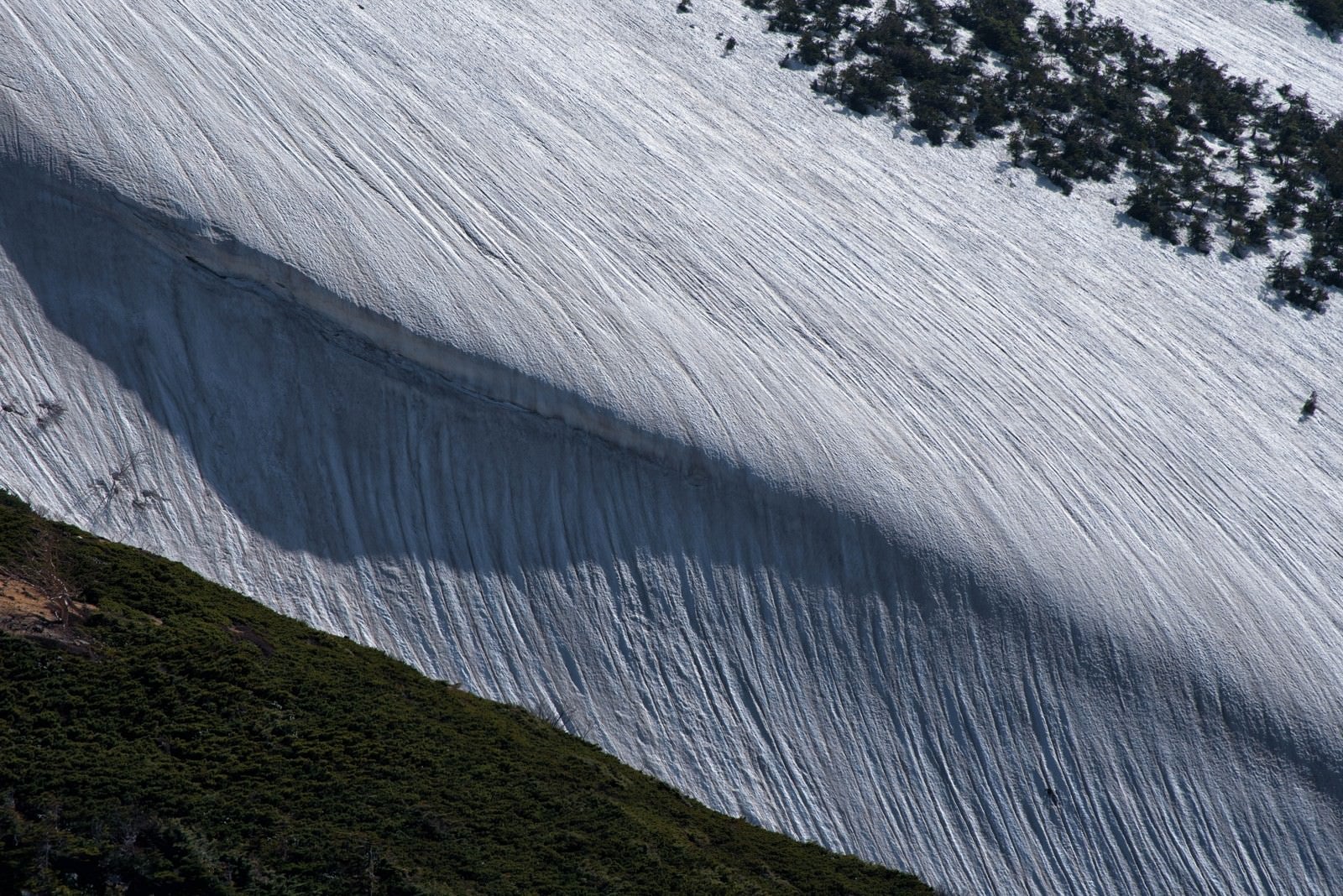 「雪渓に刻まれる模様」の写真