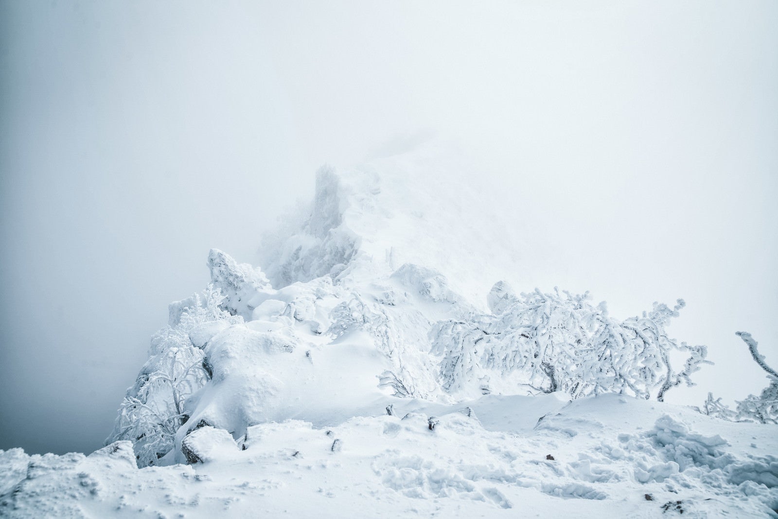 「ガスに包まれた稜線と雪景色」の写真