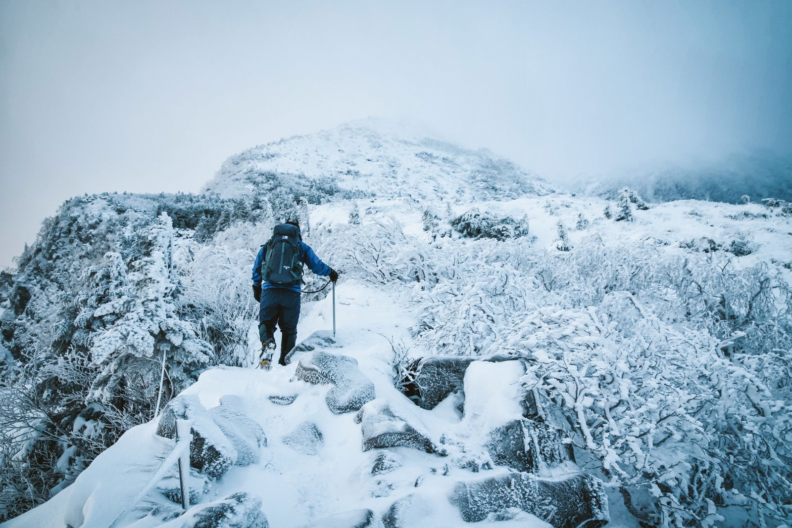 「厳冬の登山道で道狭き場所を歩く登山者」の写真