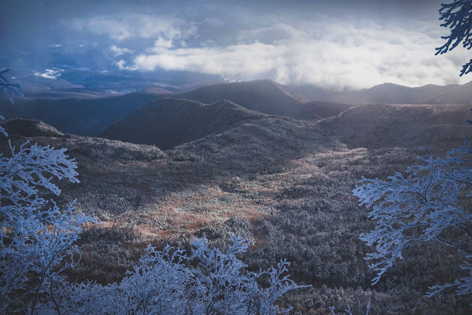 「光が差し込む冬の北八ヶ岳」の写真