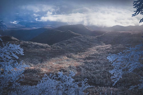 光が差し込む冬の北八ヶ岳の写真