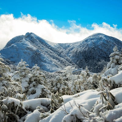 厳冬期の雪景色（天狗岳）の写真