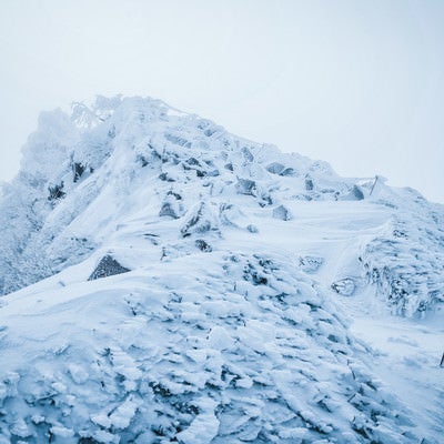 厳冬期の東天狗岳の写真