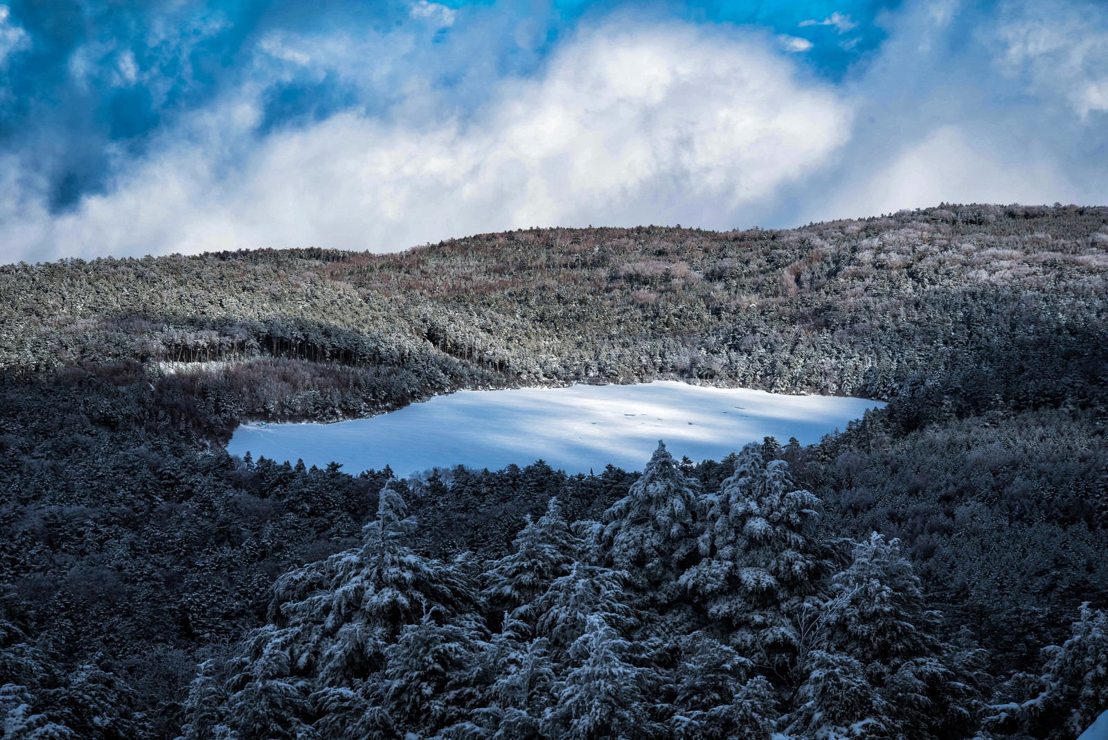「白く凍てついた厳冬期の白駒池」の写真