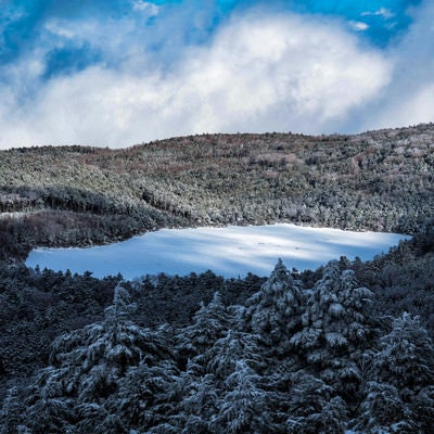 白く凍てついた厳冬期の白駒池の写真