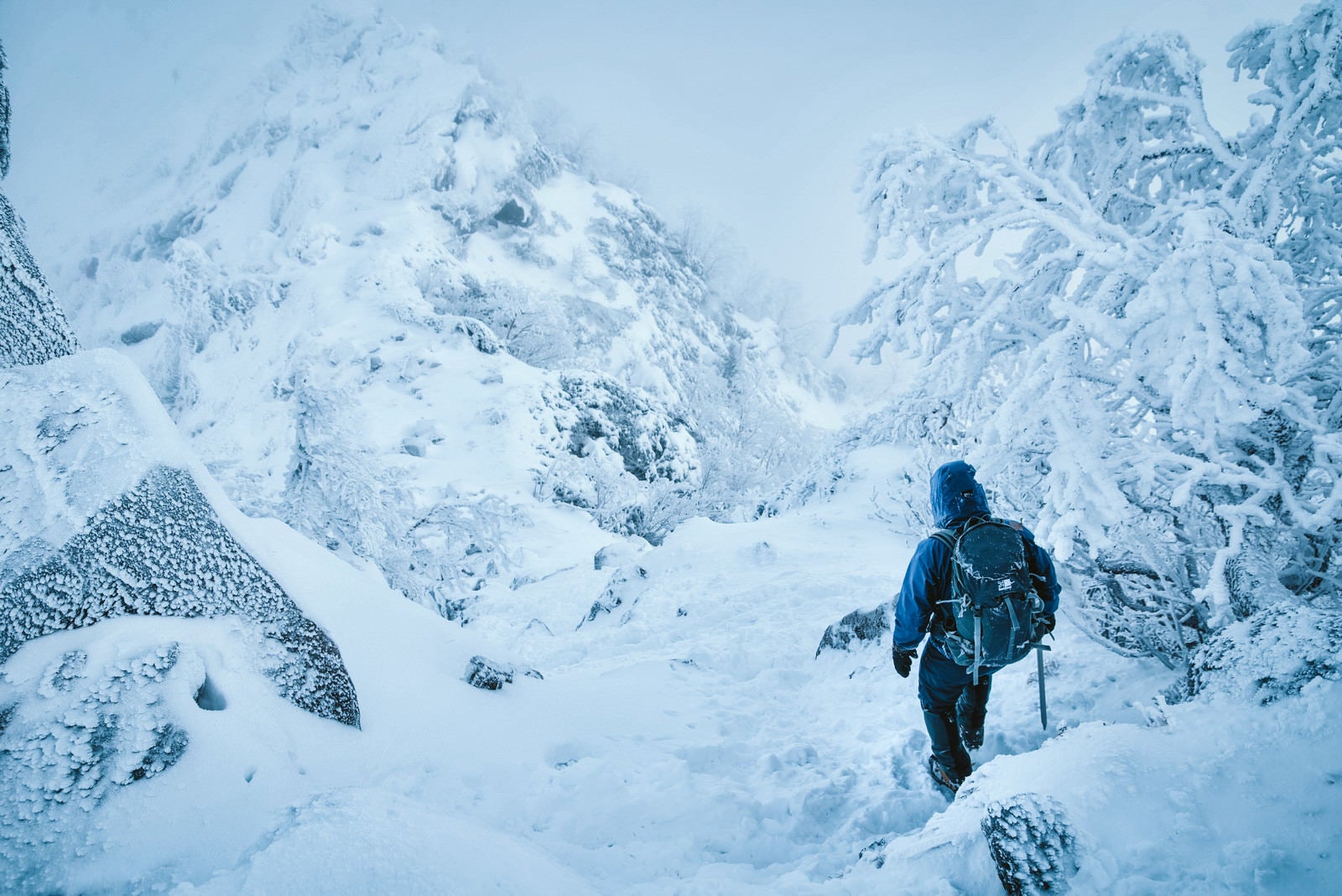 「吹雪く雪山を下山する登山者」の写真