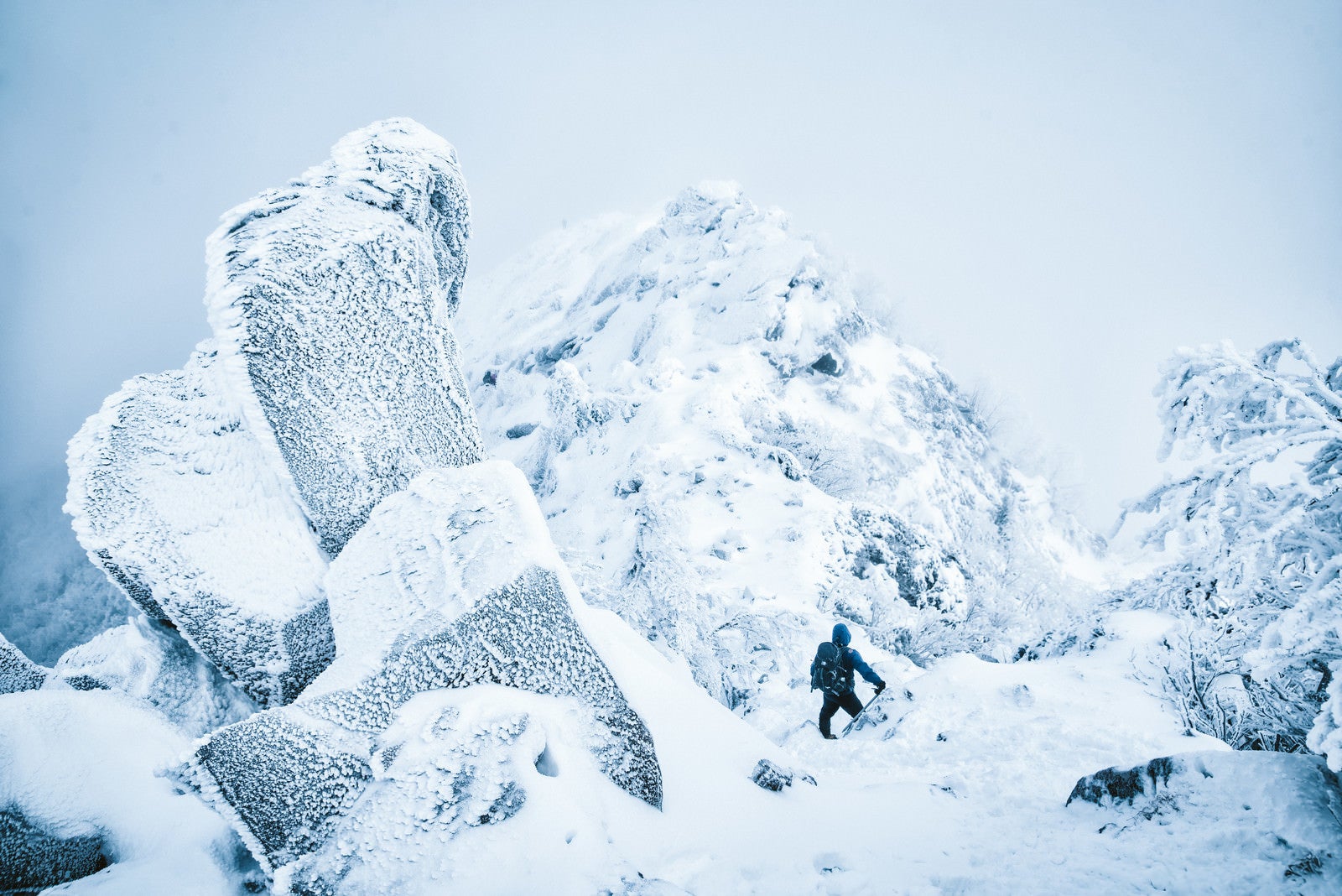 「吹雪く天狗岳の稜線と登山者」の写真