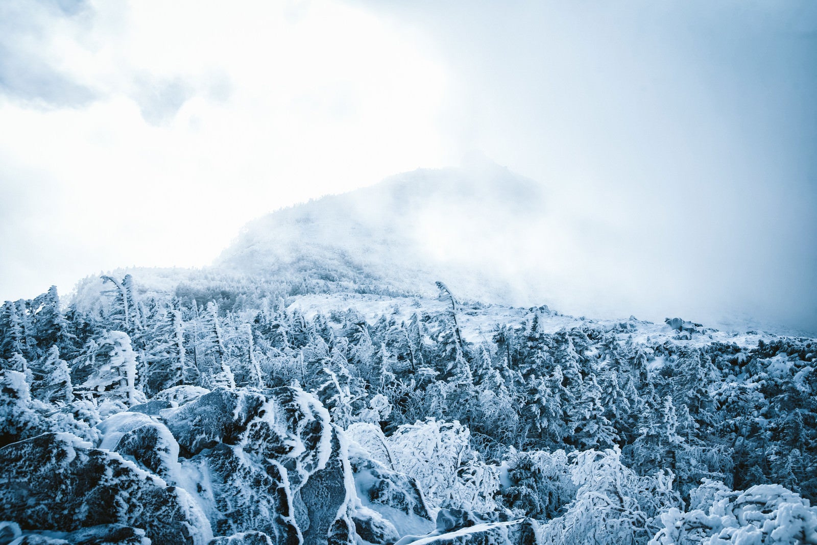 「立ち込める雲に覆われた冬の天狗岳」の写真
