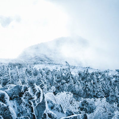 立ち込める雲に覆われた冬の天狗岳の写真