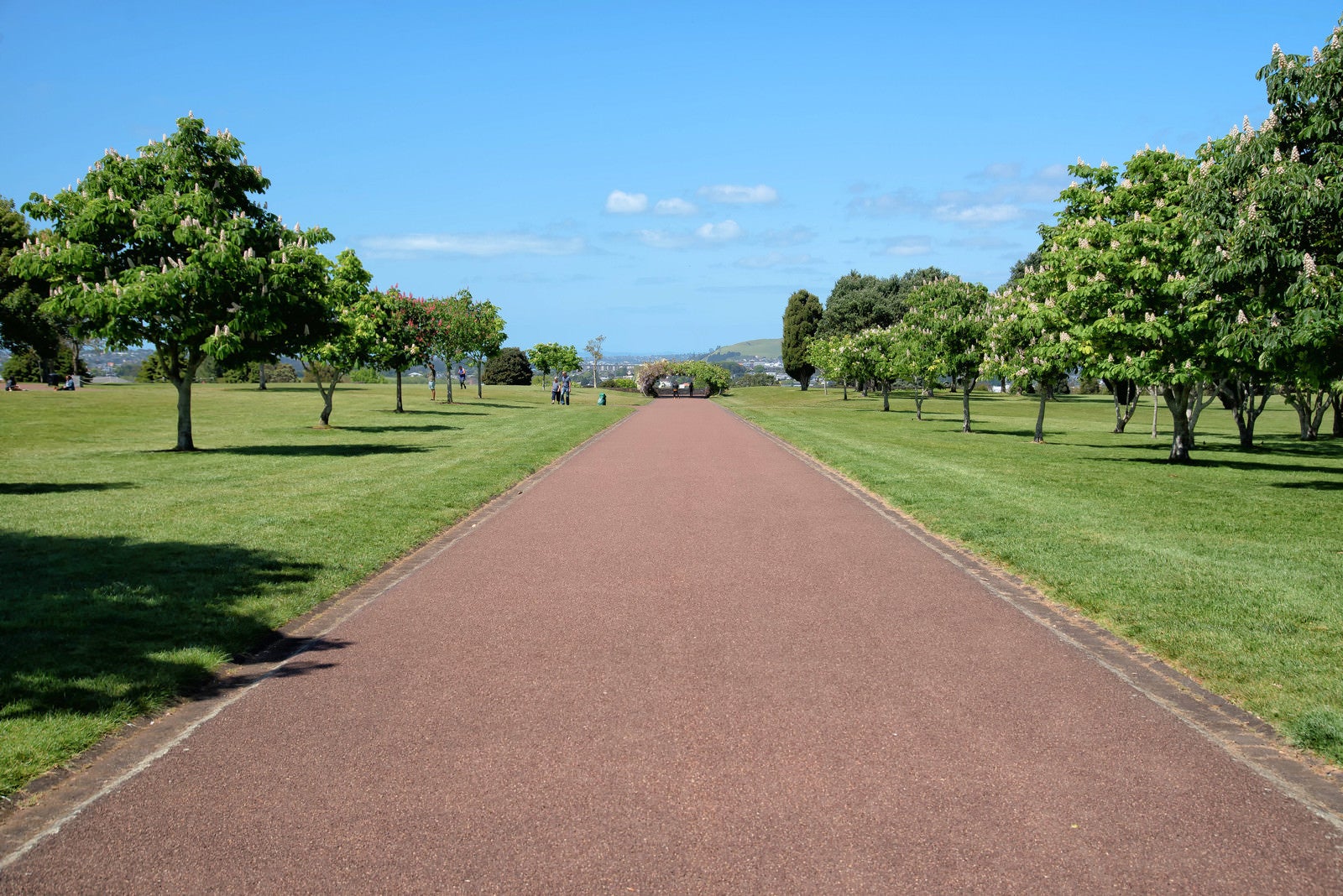 「コーンウォール・パークの遊歩道（ニュージーランド）」の写真