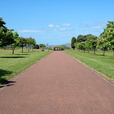 コーンウォール・パークの遊歩道（ニュージーランド）の写真