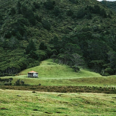 麓にひっそりと立つ小屋（ニュージーランド）の写真