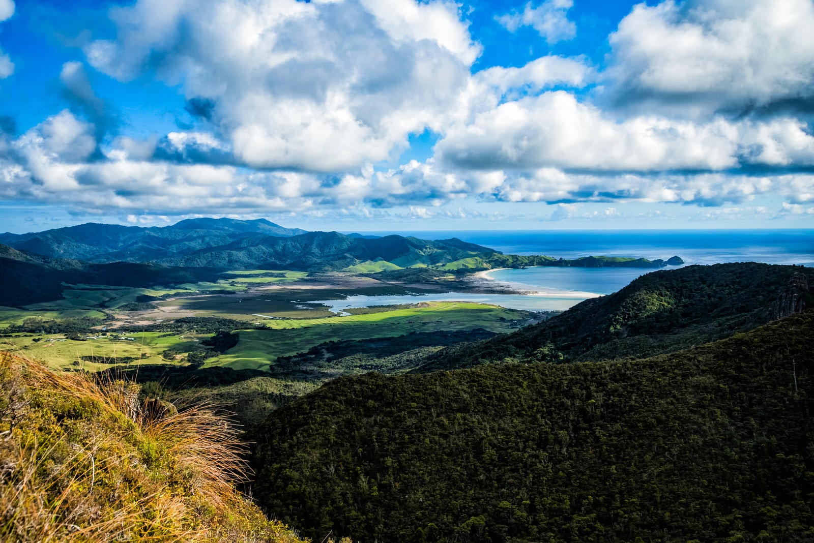 「アオテアの高台から望むビーチ（ニュージーランド）」の写真
