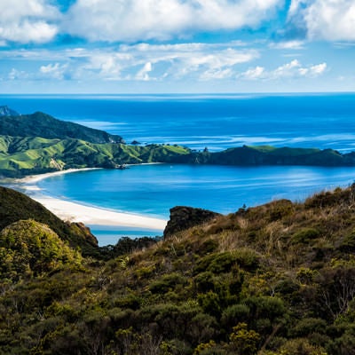 アオテアトレックから見える美しいビーチ（ニュージーランド）の写真