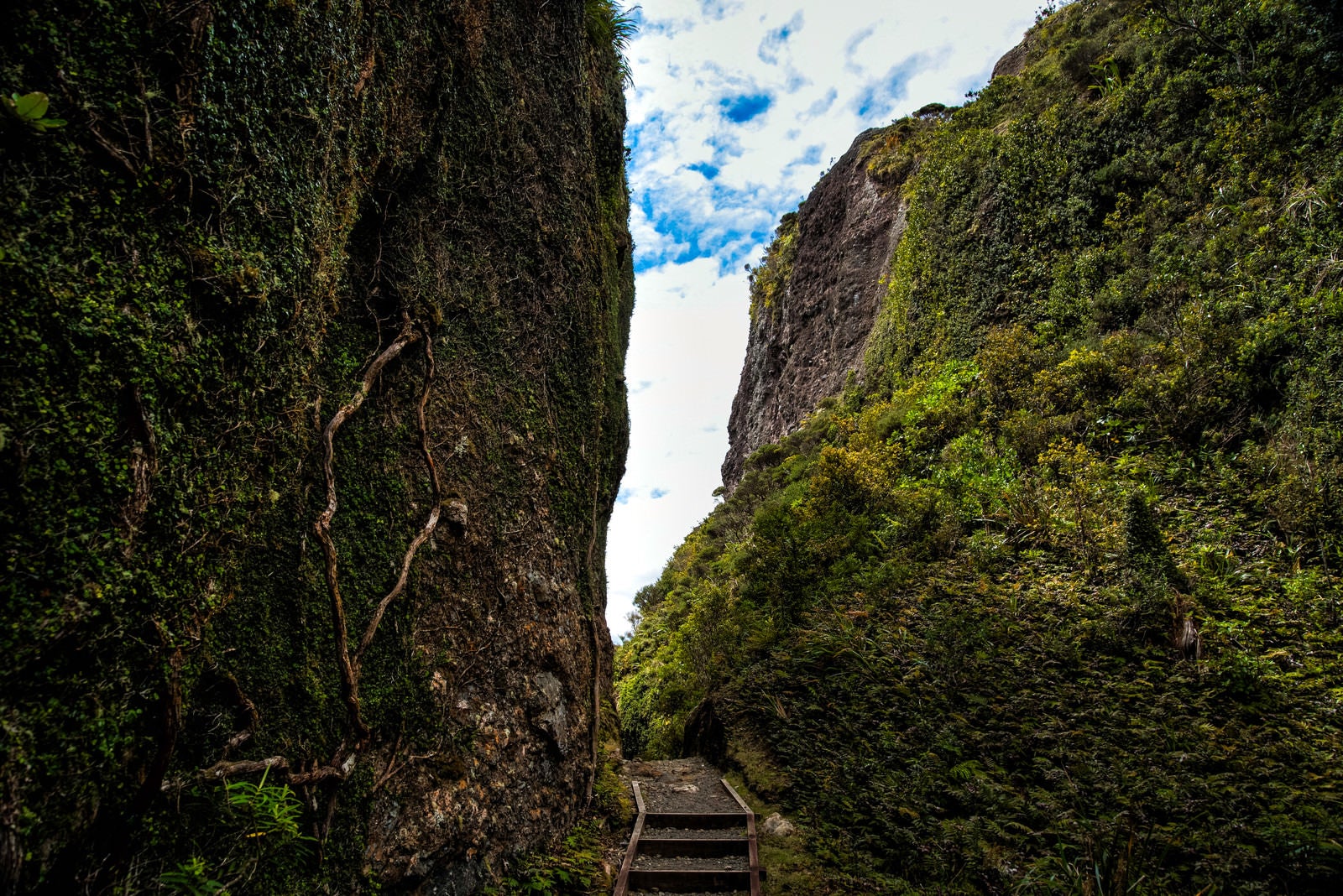 「ウィンディキャニオンにある岩壁沿いのトレッキングルート（ニュージーランド）」の写真