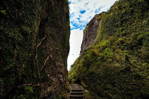 ウィンディキャニオンにある岩壁沿いのトレッキングルート（ニュージーランド）の写真