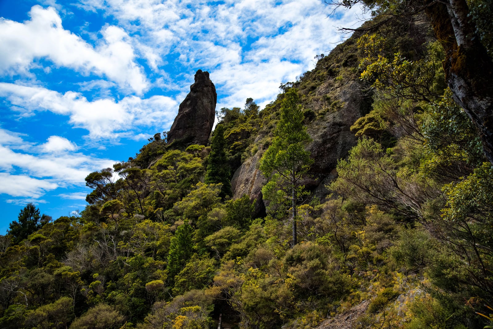 「ウィンディキャニオンに聳え立つ巨岩（ニュージーランド）」の写真