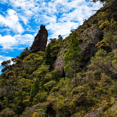 ウィンディキャニオンに聳え立つ巨岩（ニュージーランド）の写真