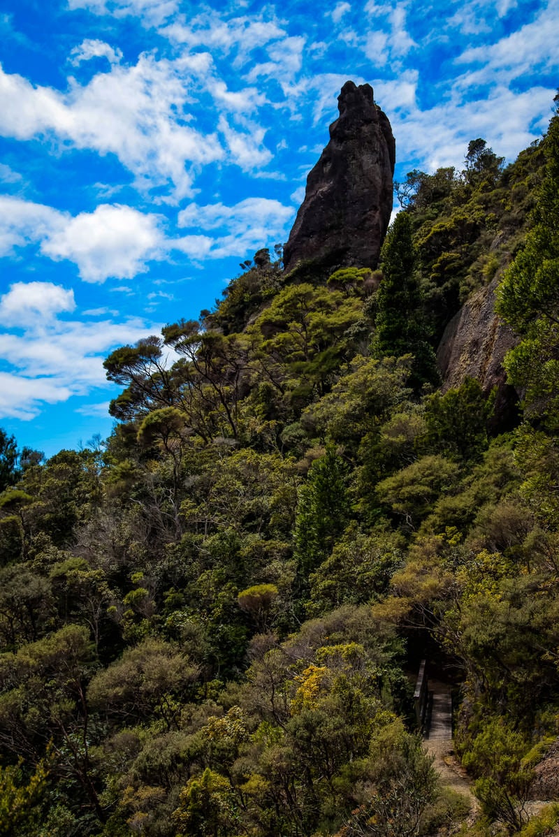 「登山道から見上げるウィンディキャニオンの巨岩（ニュージーランド）」の写真