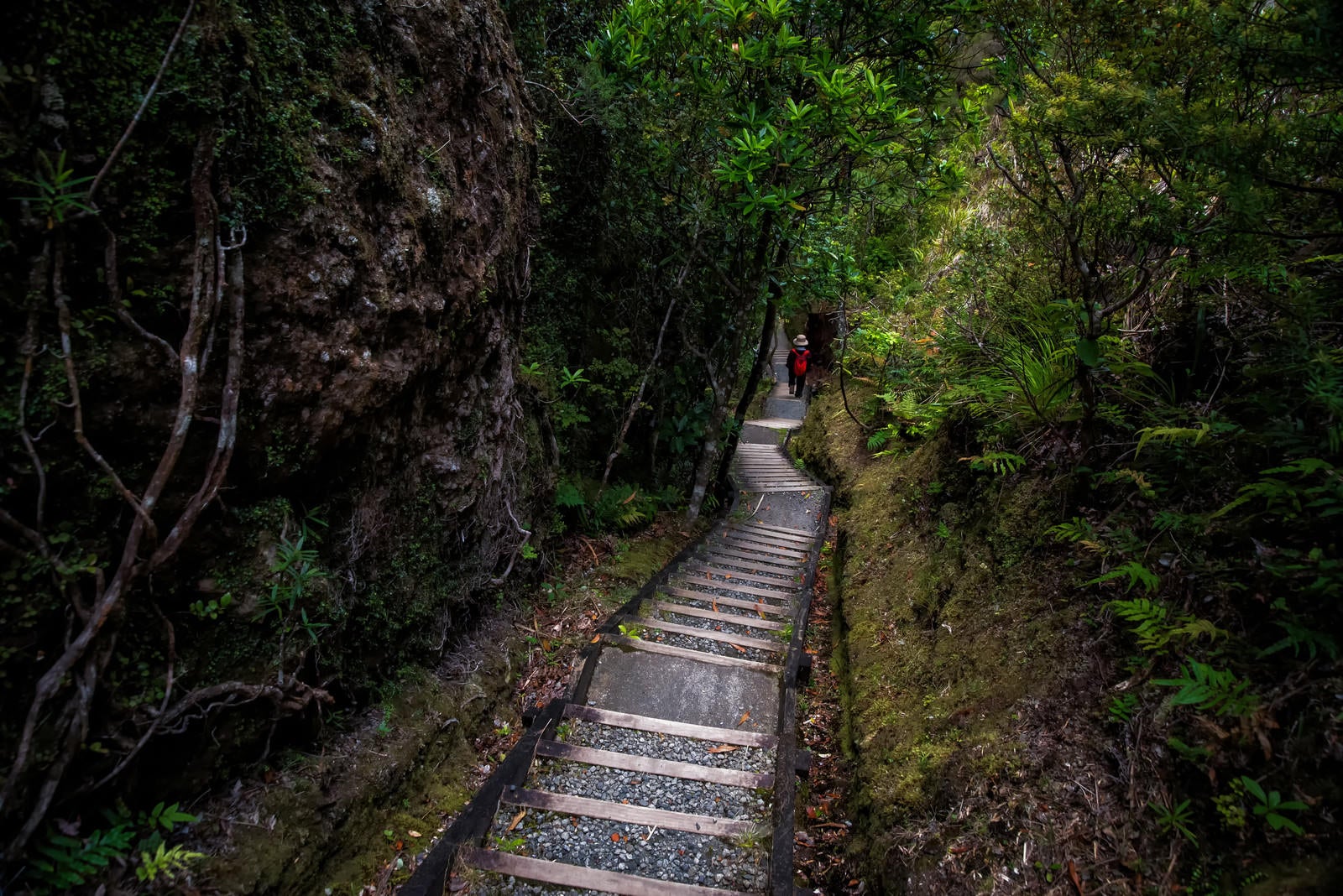 「ウィンディキャニオンの長い階段を下る旅行者」の写真