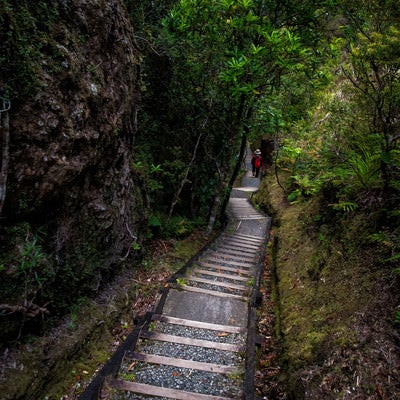 ウィンディキャニオンの長い階段を下る旅行者の写真