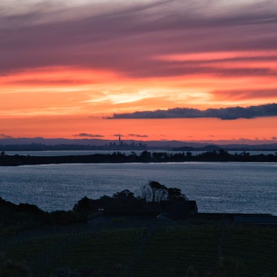 オークランドの夕焼けと海岸（ニュージーランド）の写真
