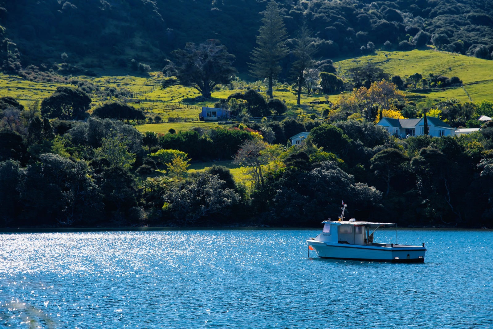 「グレートバリア島の入り江に停まるボート（ニュージーランド）」の写真