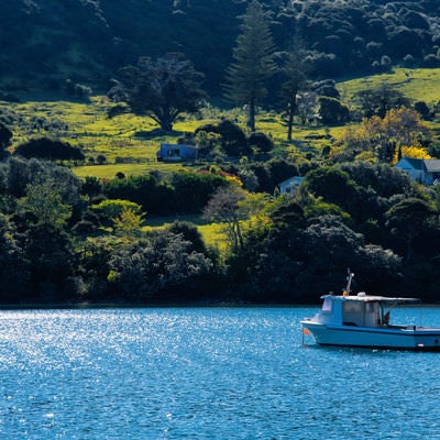 グレートバリア島の入り江に停まるボート（ニュージーランド）の写真