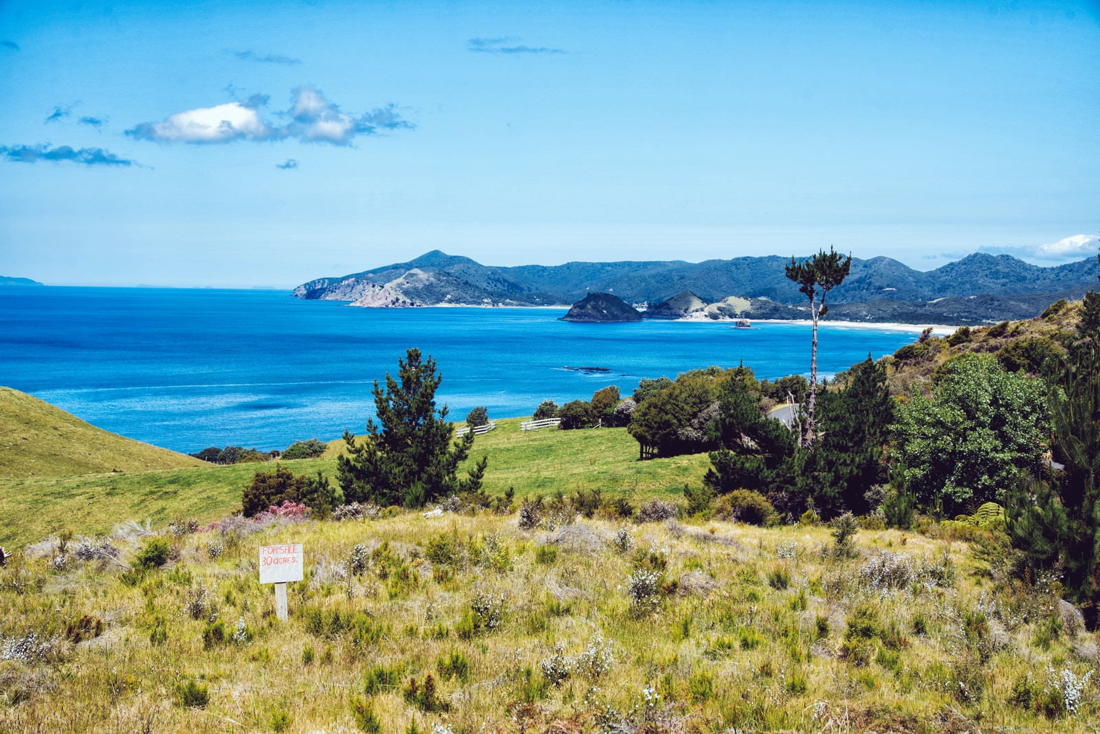 「グレートバリア島の海岸を一望出来る売地（ニュージーランド）」の写真