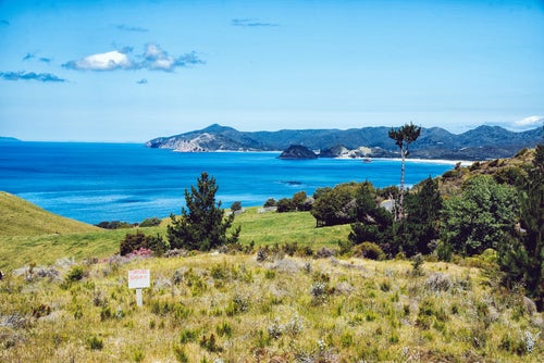 グレートバリア島の海岸を一望出来る売地（ニュージーランド）の写真