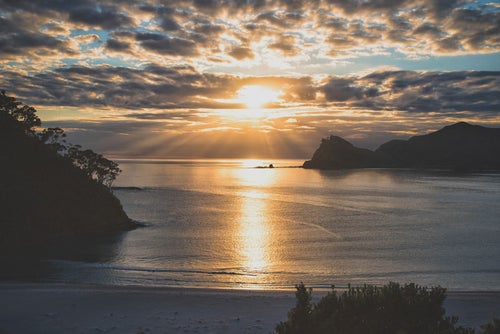 グレートバリア島の海に伸びる朝日のレイライン（ニュージーランド）の写真