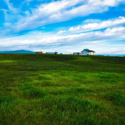 ニュージーランド郊外の広大な草原の中にある家の写真