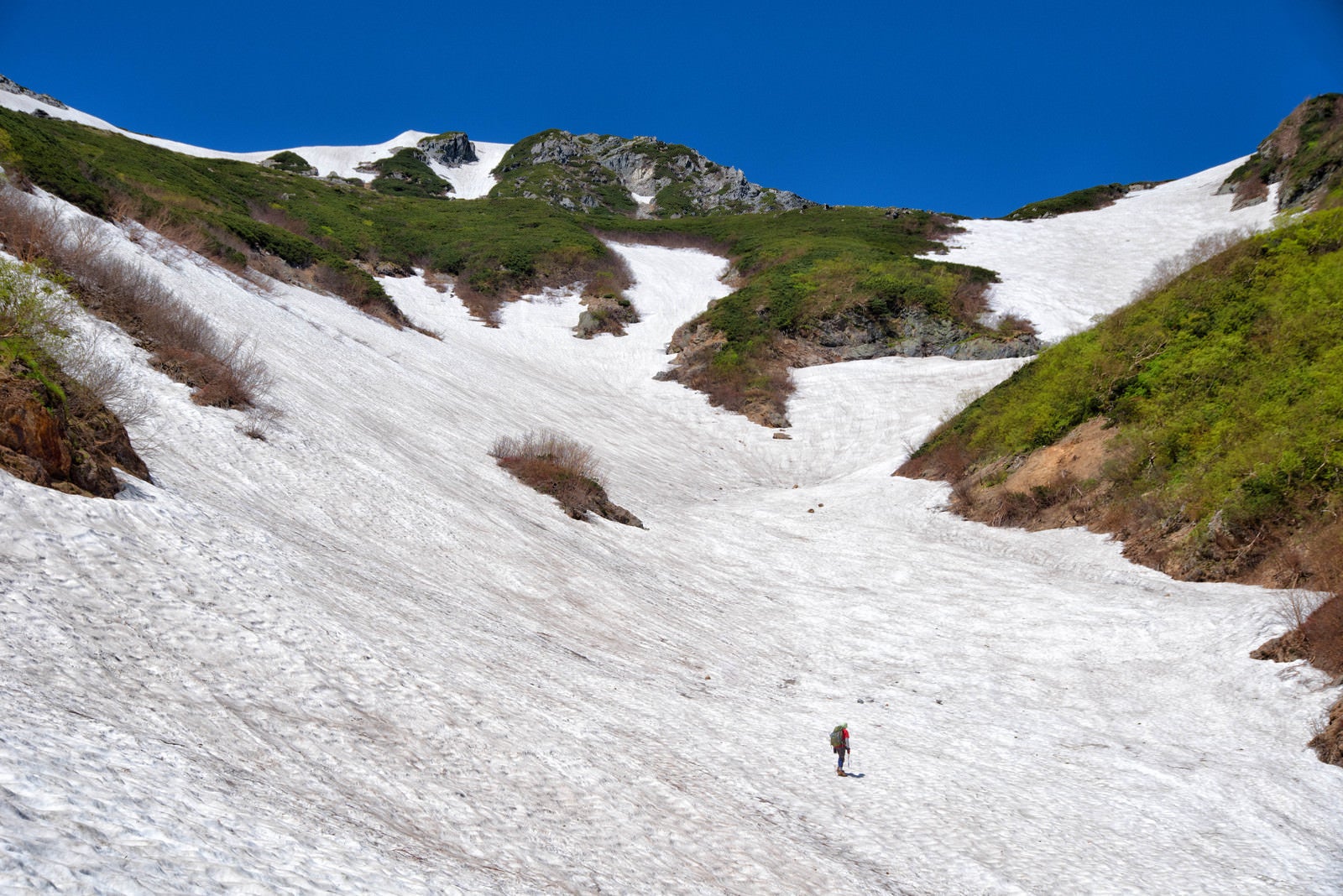 「針ノ木岳の雪渓に挑む登山者」の写真