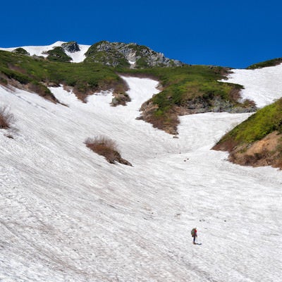 針ノ木岳の雪渓に挑む登山者の写真
