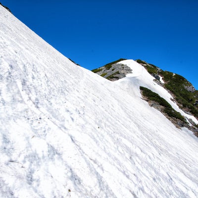 針ノ木岳山頂直下の残雪（北アルプス）の写真