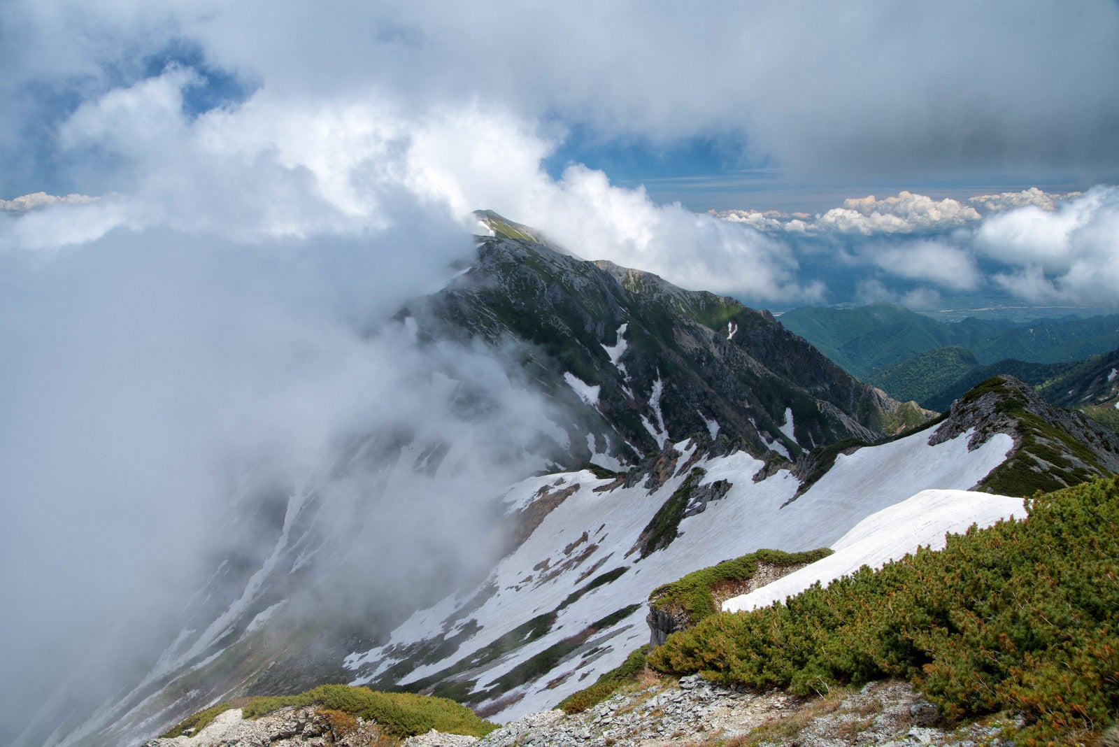 「雲かかる新緑の蓮華岳（北アルプス）」の写真