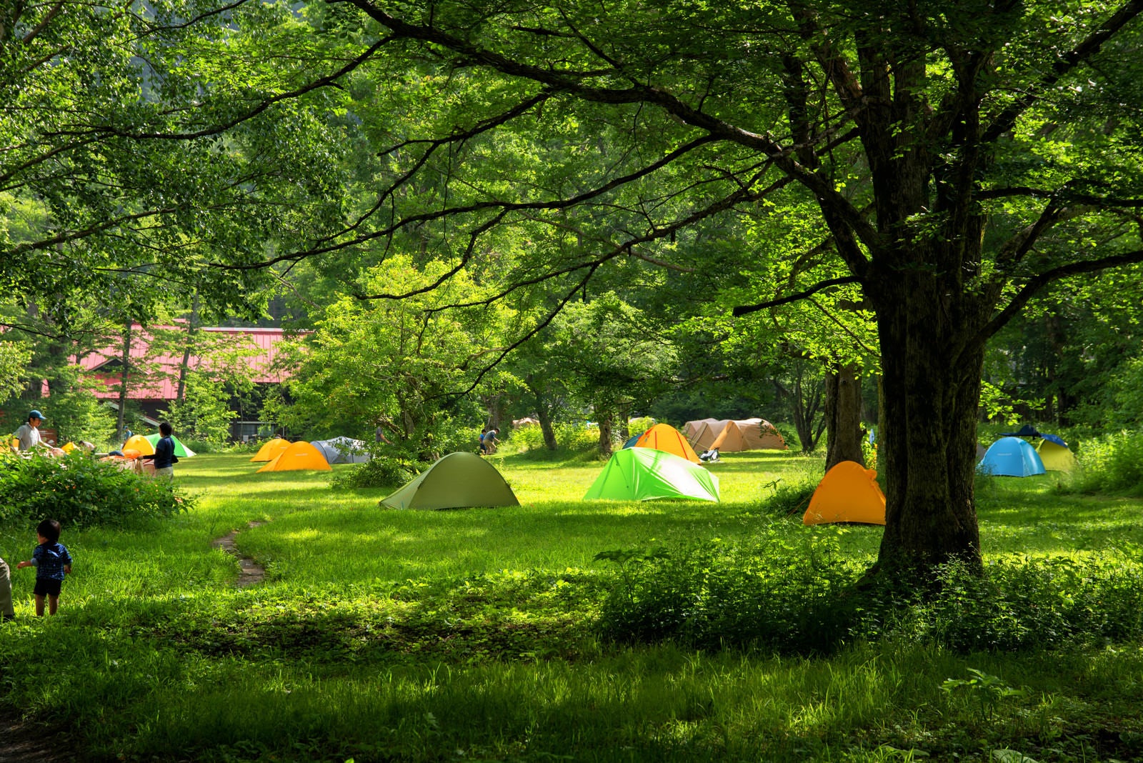 「リーサイトに立つテント（徳澤キャンプ場）」の写真