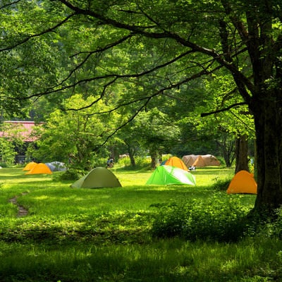 リーサイトに立つテント（徳澤キャンプ場）の写真