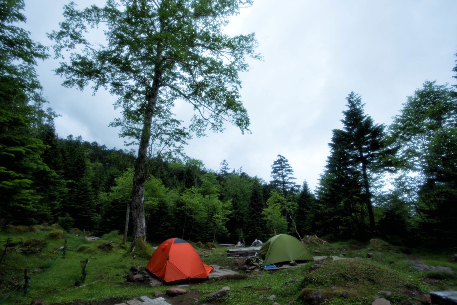 「オーレン小屋のテント場に立つテント（八ヶ岳）」の写真